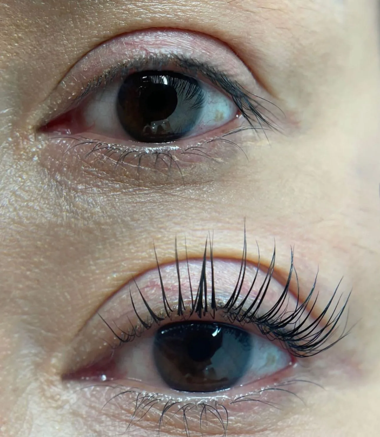 eyelash lifting Gallery